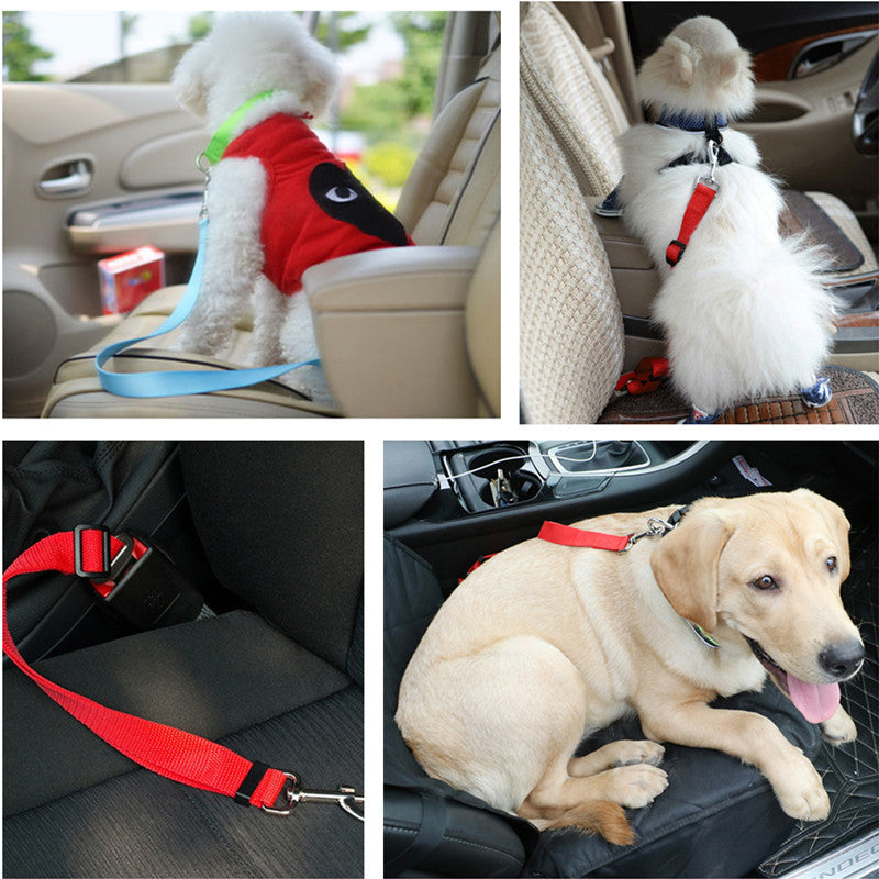 Pet Seat Belt