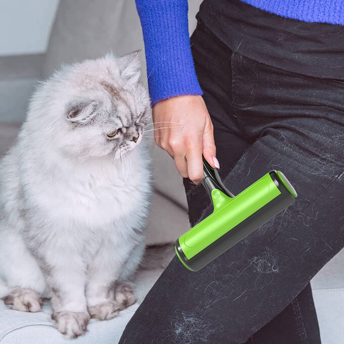 Pet Hair Remover